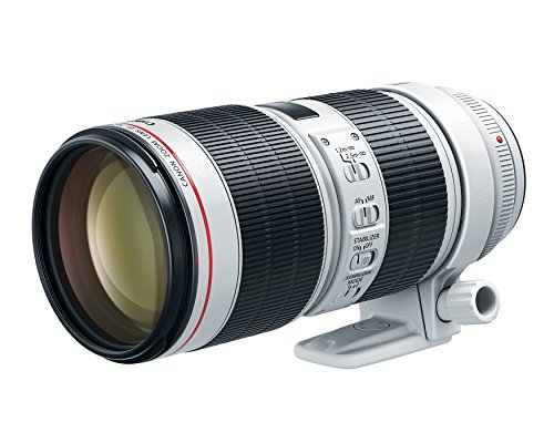 Unveiling the Power and Precision of the 70-200 Canon Lens Collection