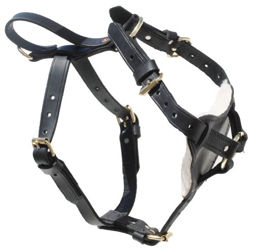 Unleash Confidence and Control with the Agitation Harness: The Ultimate Training Tool