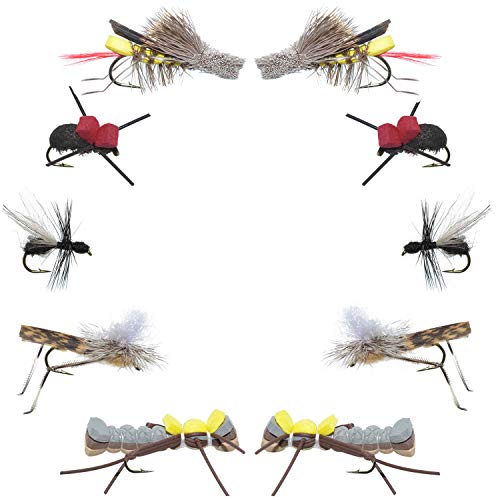 10 Best Beetle Fly Patterns for Successful Fly Fishing on Amazon