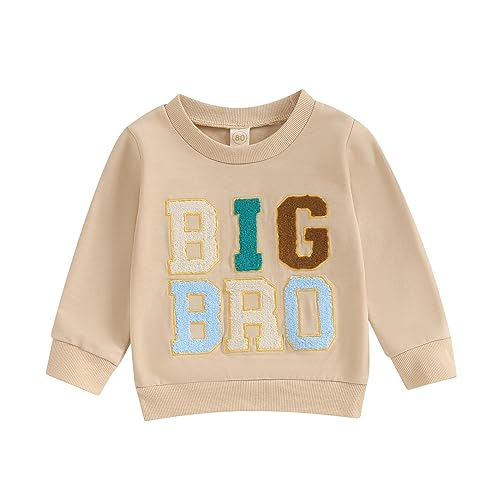 Big Bro Shirt: The Perfect Gift to Celebrate the New Addition!