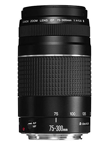 Canon Crop Lenses