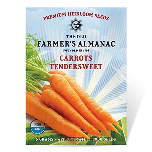 Carrot Seeds