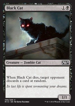 Cat Mtg Cards