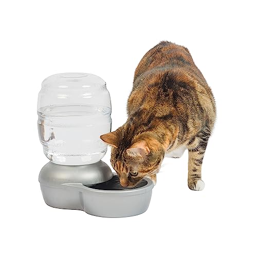 Discover the Best Cat Waterer for Hydrated and Happy Felines!