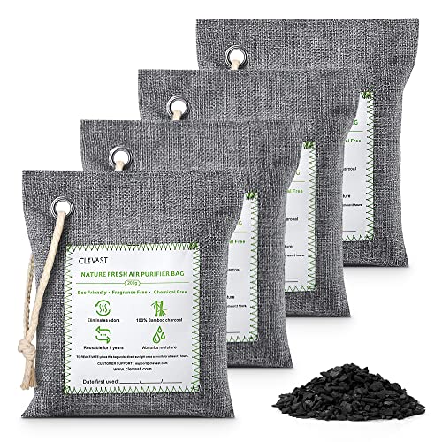 10 Best Charcoal Odor Eliminators for a Fresh and Clean Home