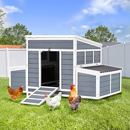 Top 10 Chicken Coop Kits for Easy and Affordable Backyard Farming
