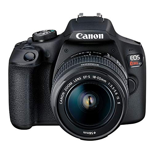 10 Must-Have Compact SLR Cameras for Capturing Spectacular Shots