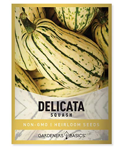 Delicata Squash