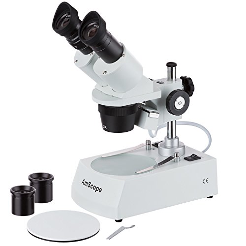 Unveiling the Wonders: Dissecting Microscope – The Ultimate Exploration Tool