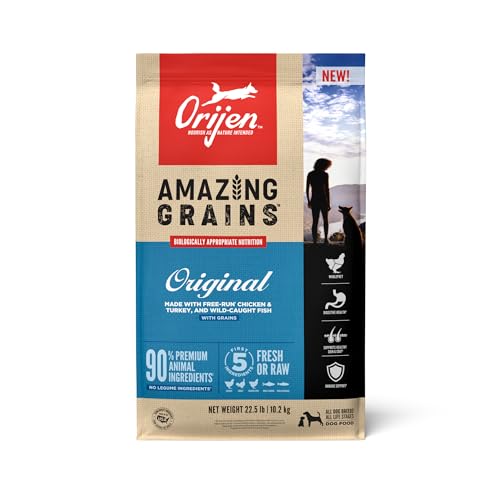 Dog Food Containing Grain