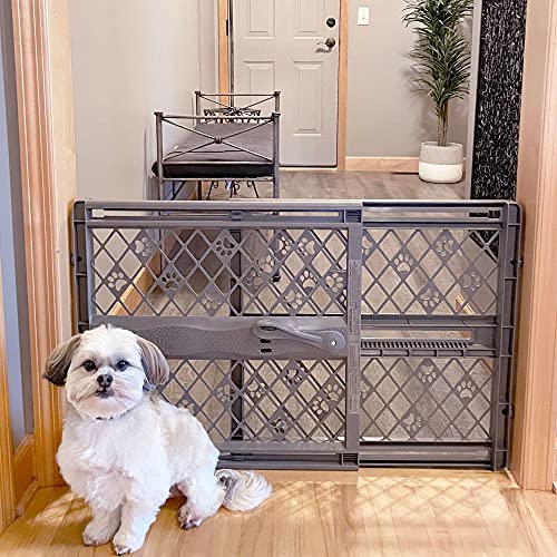 Secure Your Space: The Best Dog Gates Indoor for Ultimate Pet Safety