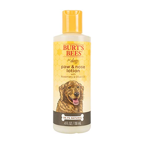 Say Goodbye to Dry Paws with Our Dog Paw Lotion