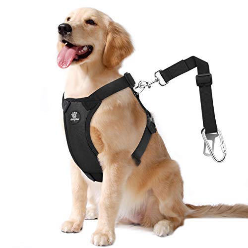 Keep Your Furry Friend Secure with the Best Dog Safety Harness