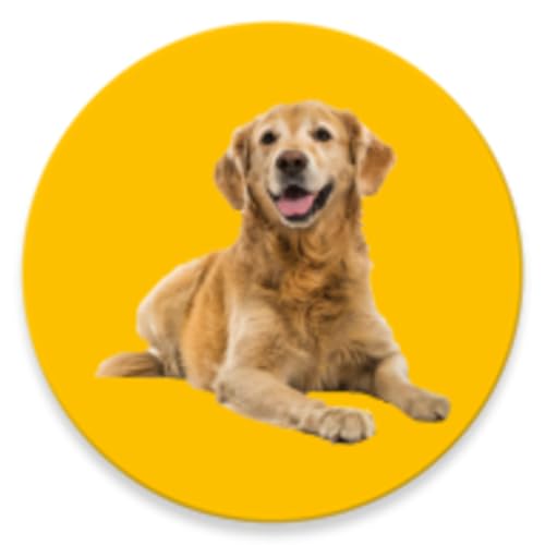 Dive into the World of Dog Sounds: Discover the Different Vocalizations!