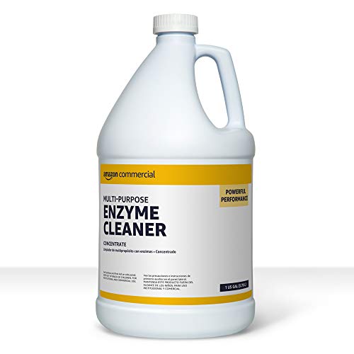 Reviving Your Carpets: Discover the Power of Enzyme Carpet Cleaner!