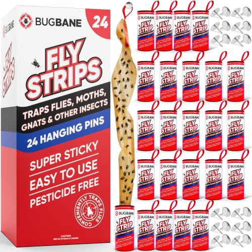 Fly Strips