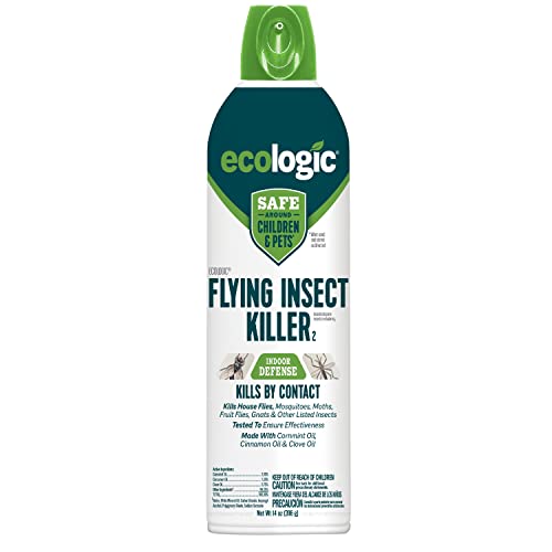 Getting Rid of Flying Insects Made Easy with our Effective Flying Insect Killer