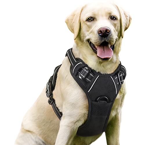 Front Lead Dog Harness