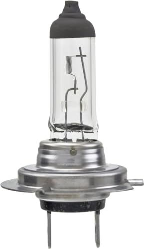 H7 Halogen Bulb