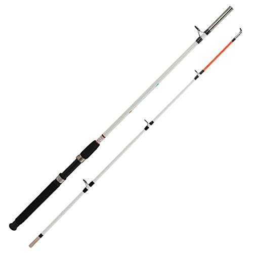 Gear Up for Action: Unleash Your Potential with a Heavy Spinning Rod!