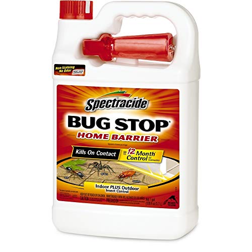 Home Bug Protection