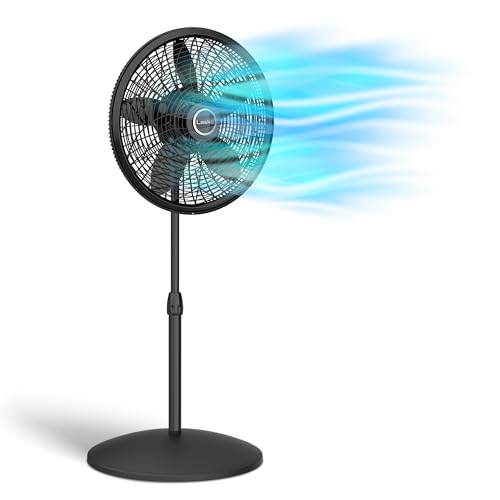 Stay Cool and Comfortable with the Best Indoor Fan on Amazon