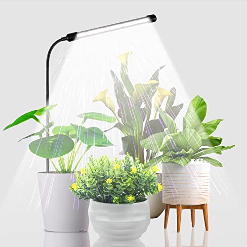 Discover the Best Indoor Plants for Bright Light Environments on Amazon