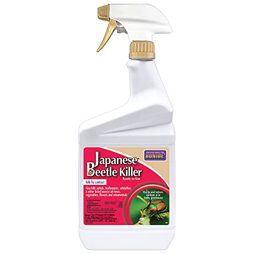 Eliminate Japanese Beetle Infestation with the Ultimate Beetle Killer Solution