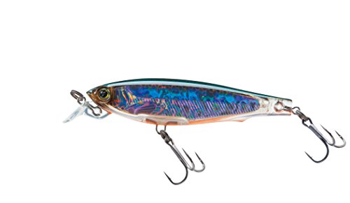 The Best Japanese Lures for Catching More Fish- Top Picks and Reviews