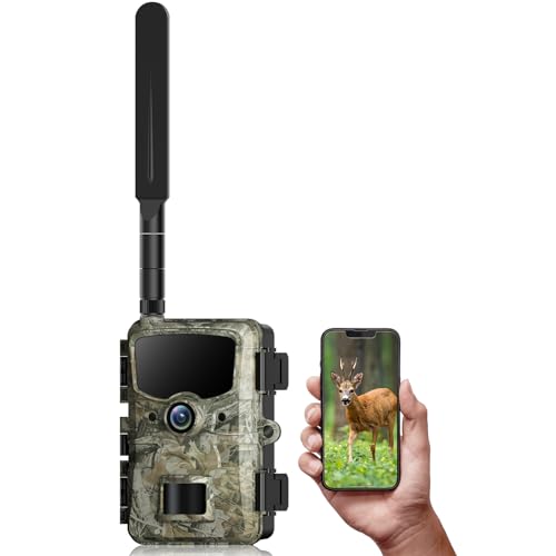 Mid Range Mobile Phone Camera